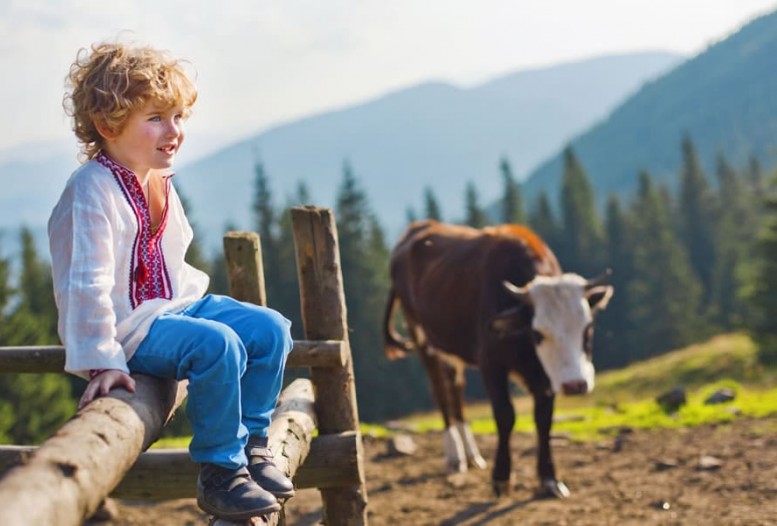 Wanderurlaub mit Kindern in Flachau © Shutterstock
